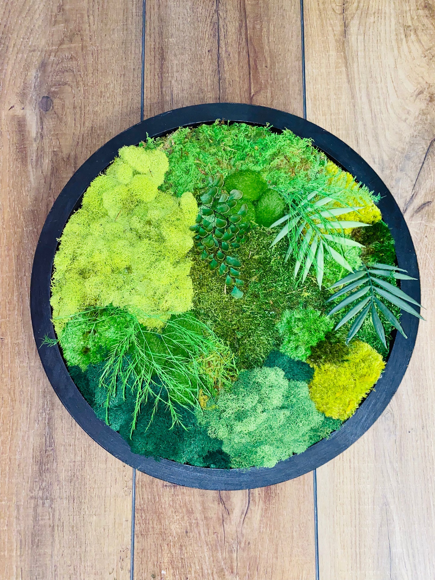 Moss Circle