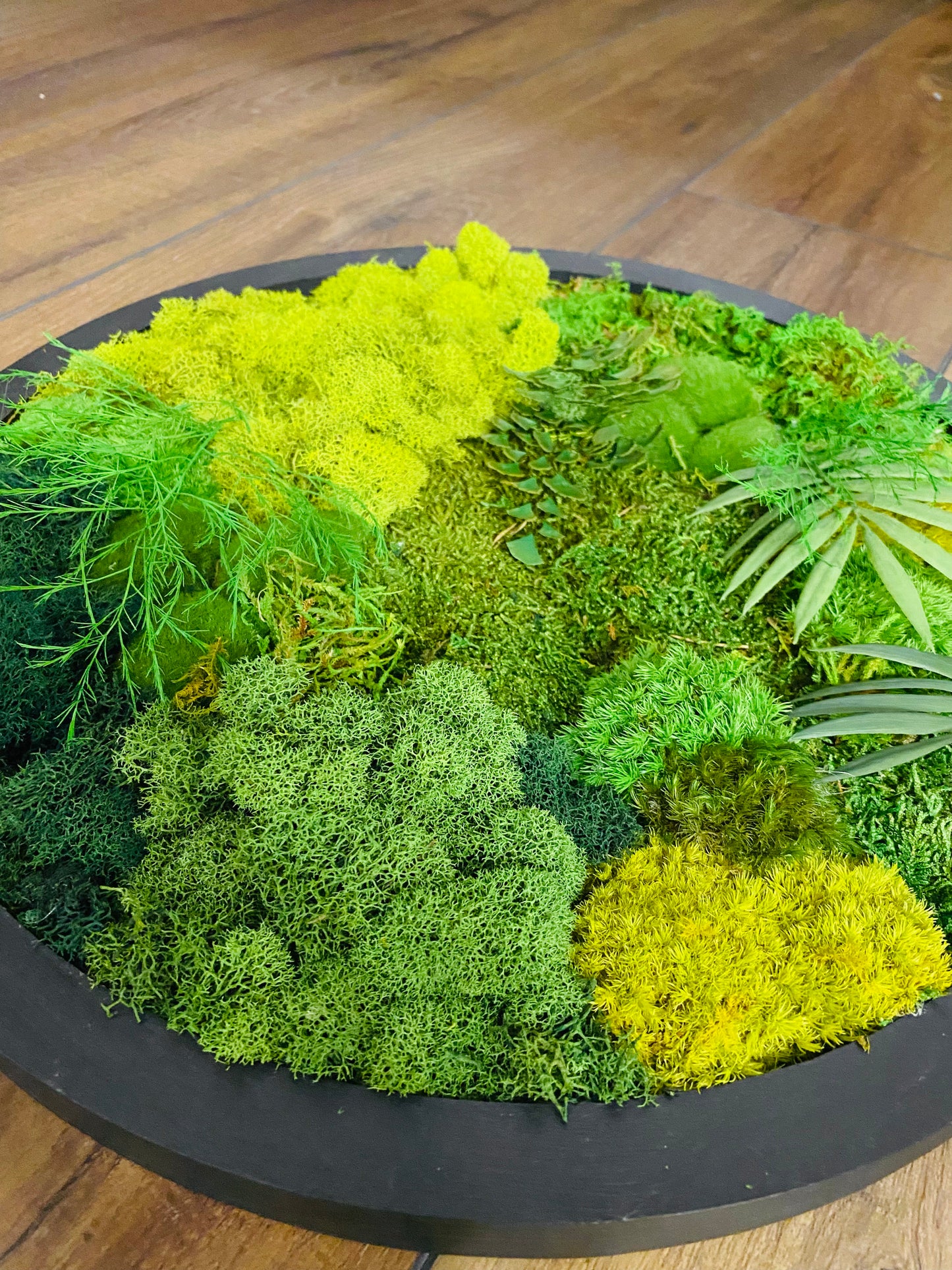 Moss Circle