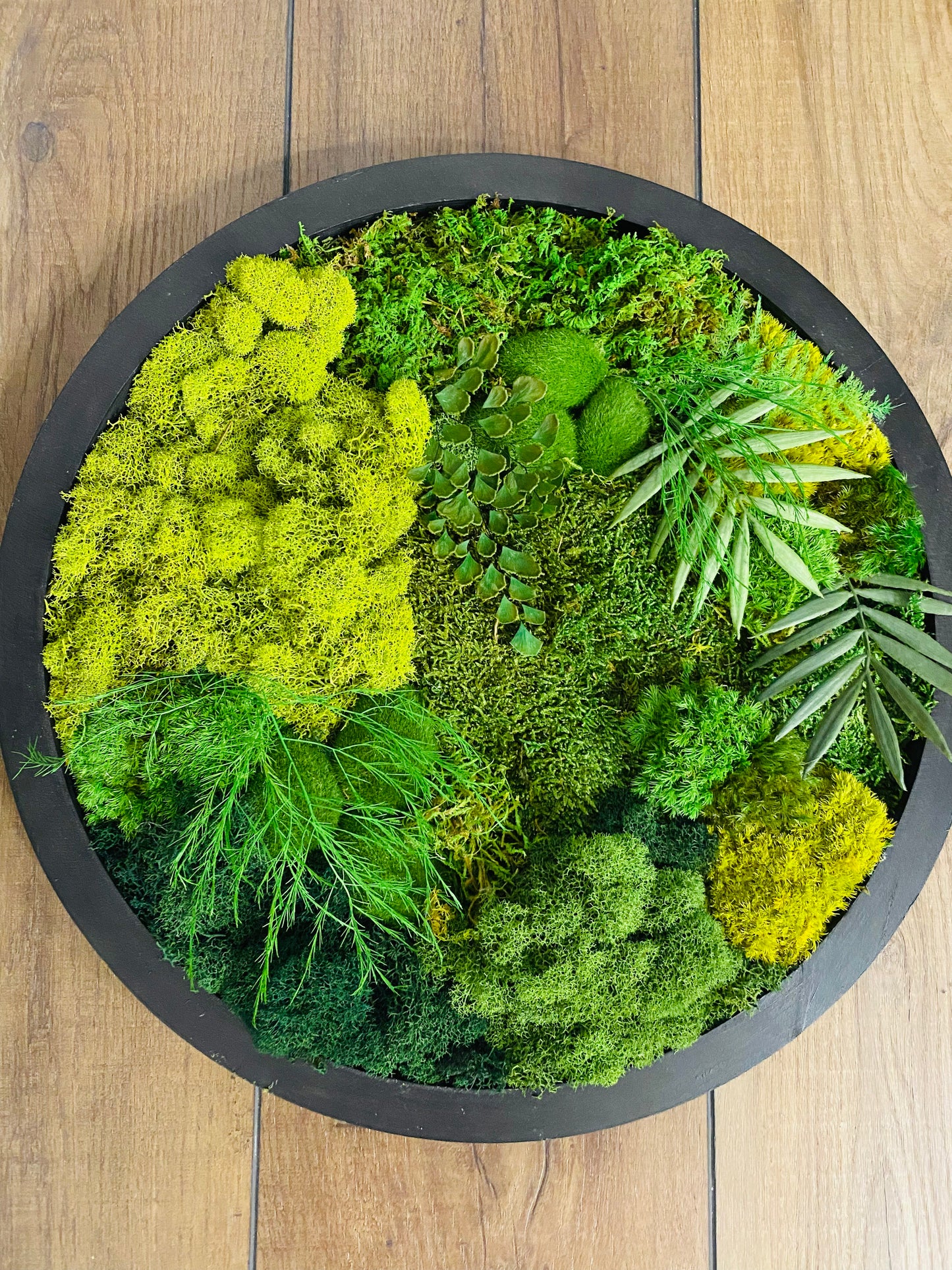 Moss Circle