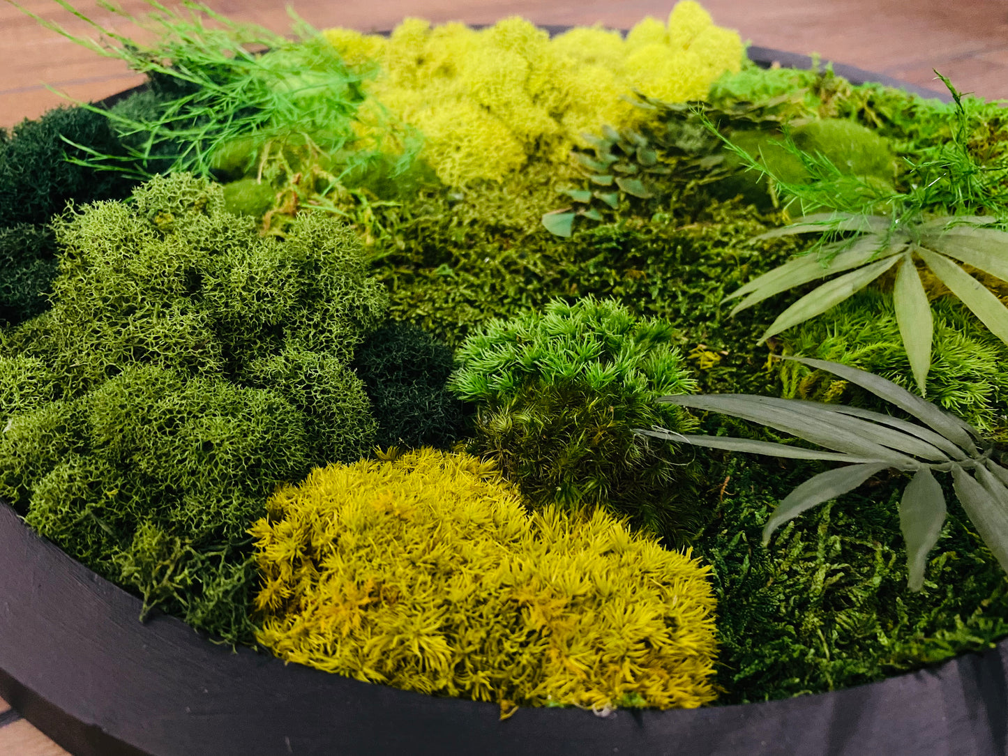 Moss Circle