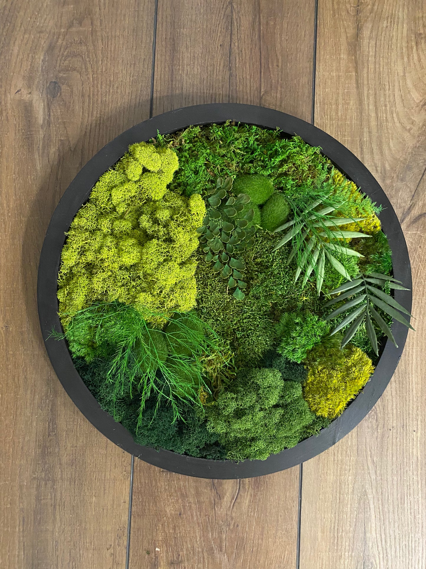 Moss Circle