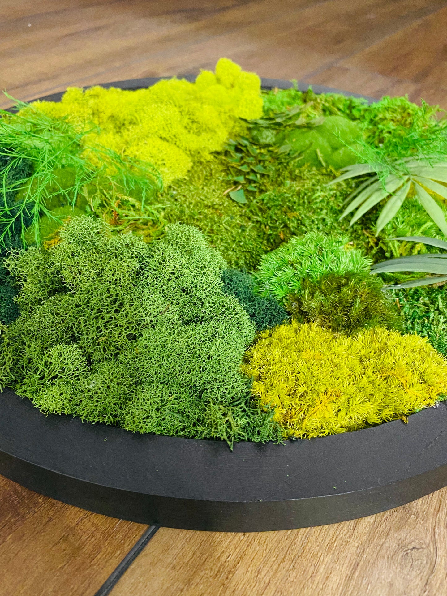 Moss Circle