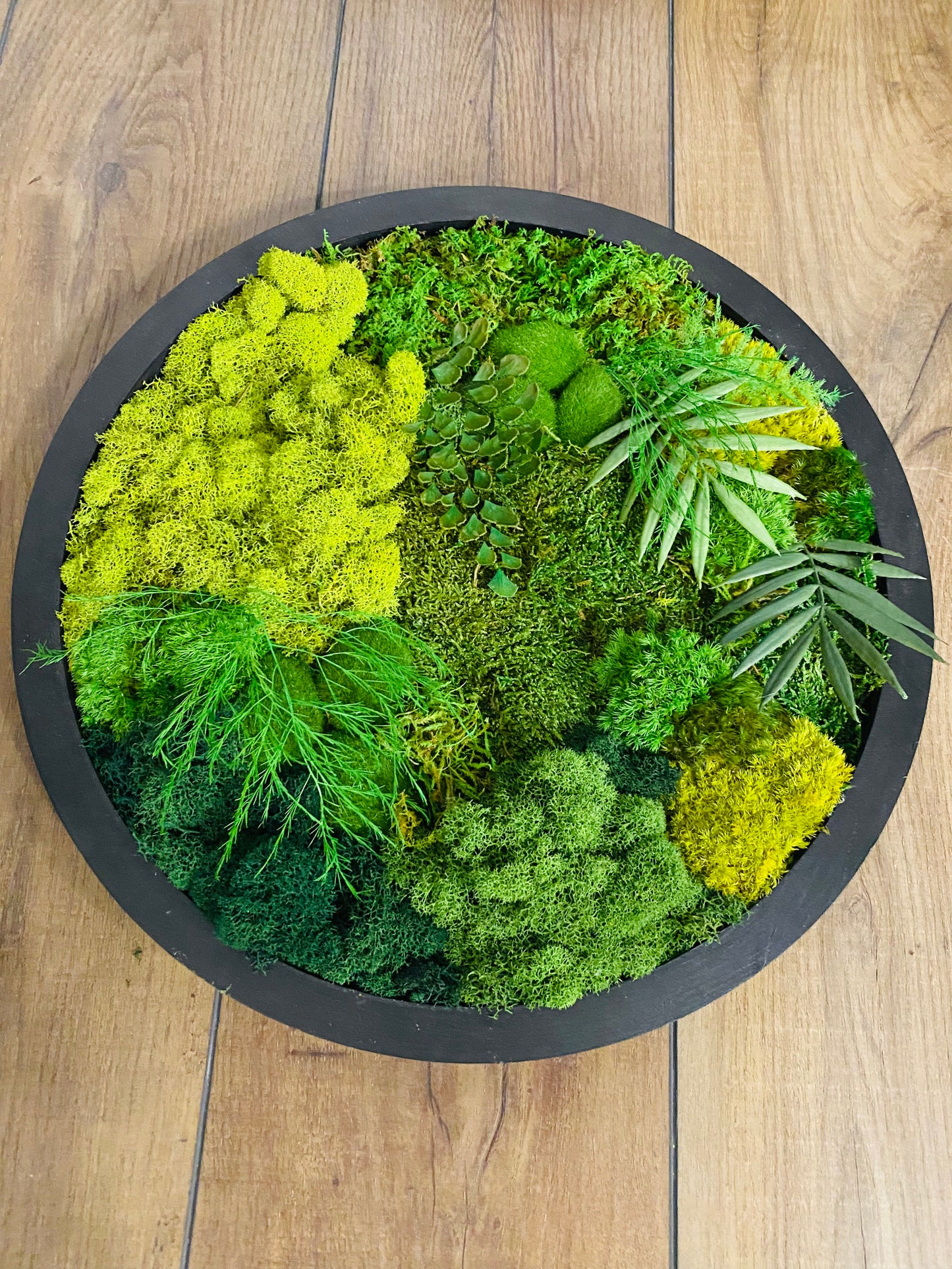 Moss Circle