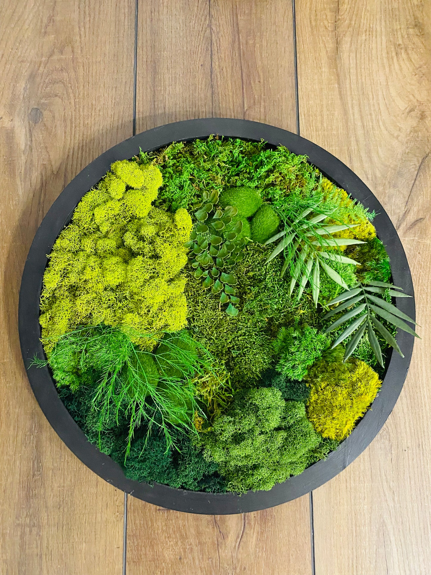 Moss Circle
