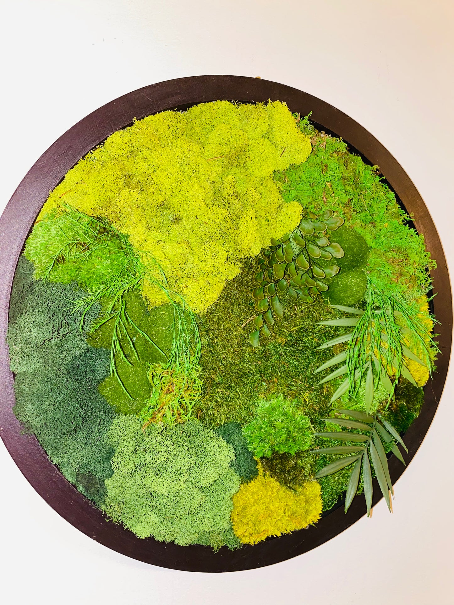Moss Circle